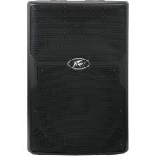 Peavey PVxP 12